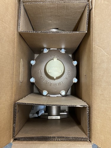 Neptune 10 water meter - neptune,